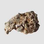  Impactite Monomict Breccia | 17.4 grams | Agoudal, Imilchil Structure | Morocco 1