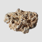  Impactite Monomict Breccia | 17.4 grams | Agoudal, Imilchil Structure | Morocco 3