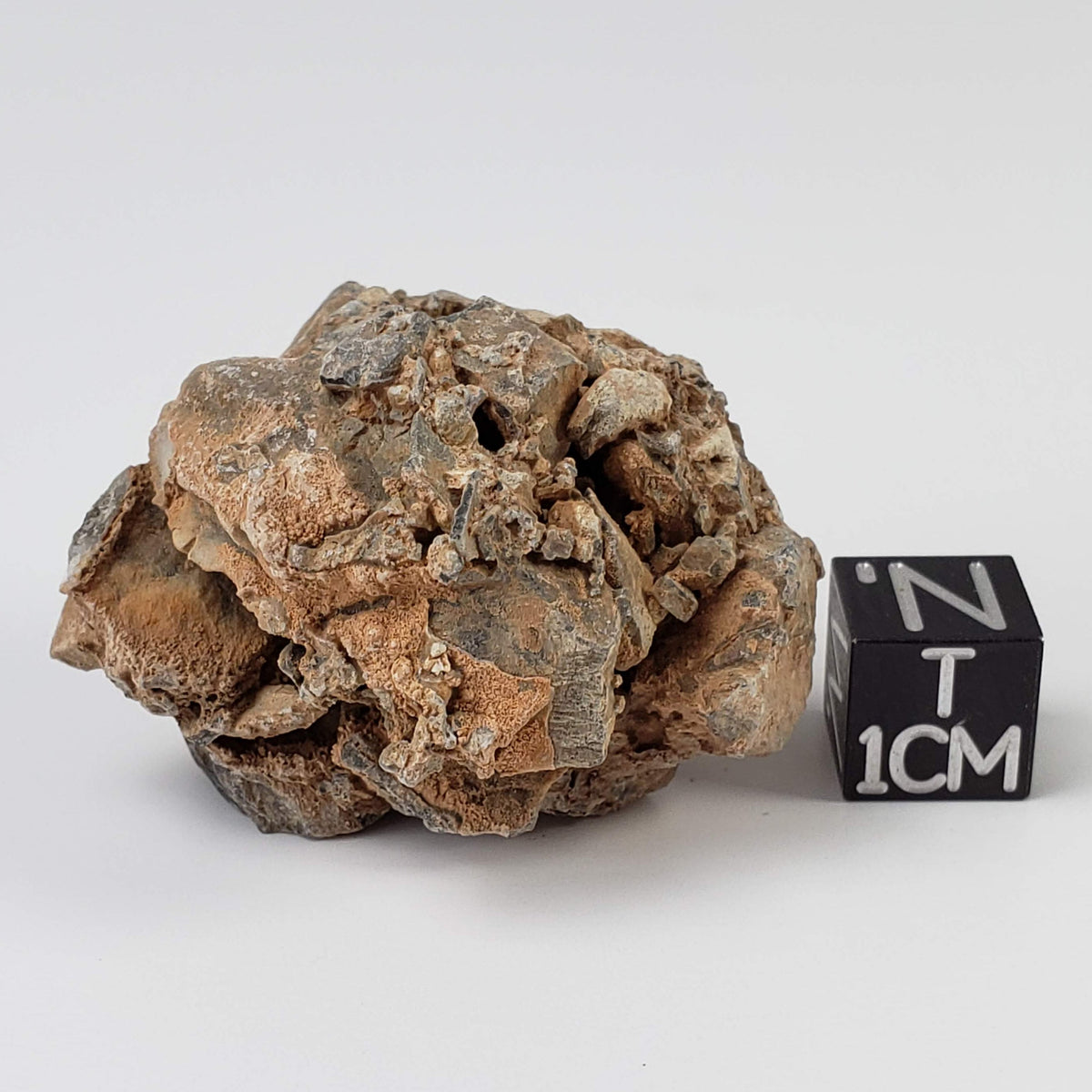  Impactite Monomict Breccia | 24.4 grams | Agoudal, Imilchil Structure | Morocco 