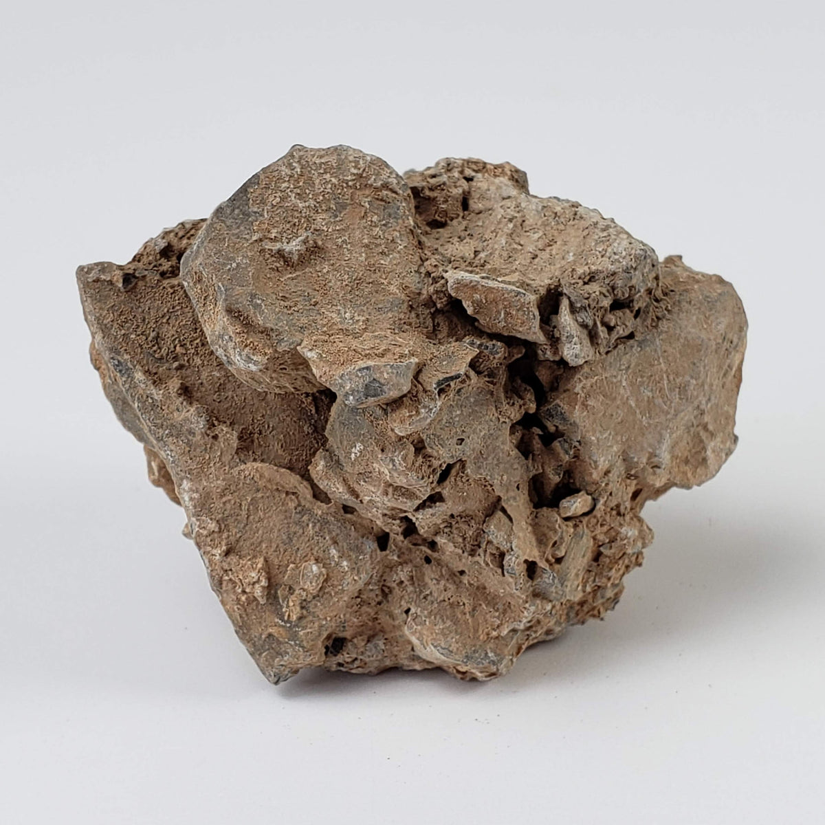  Impactite Monomict Breccia | 24.4 grams | Agoudal, Imilchil Structure | Morocco 5