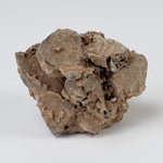  Impactite Monomict Breccia | 24.4 grams | Agoudal, Imilchil Structure | Morocco 5