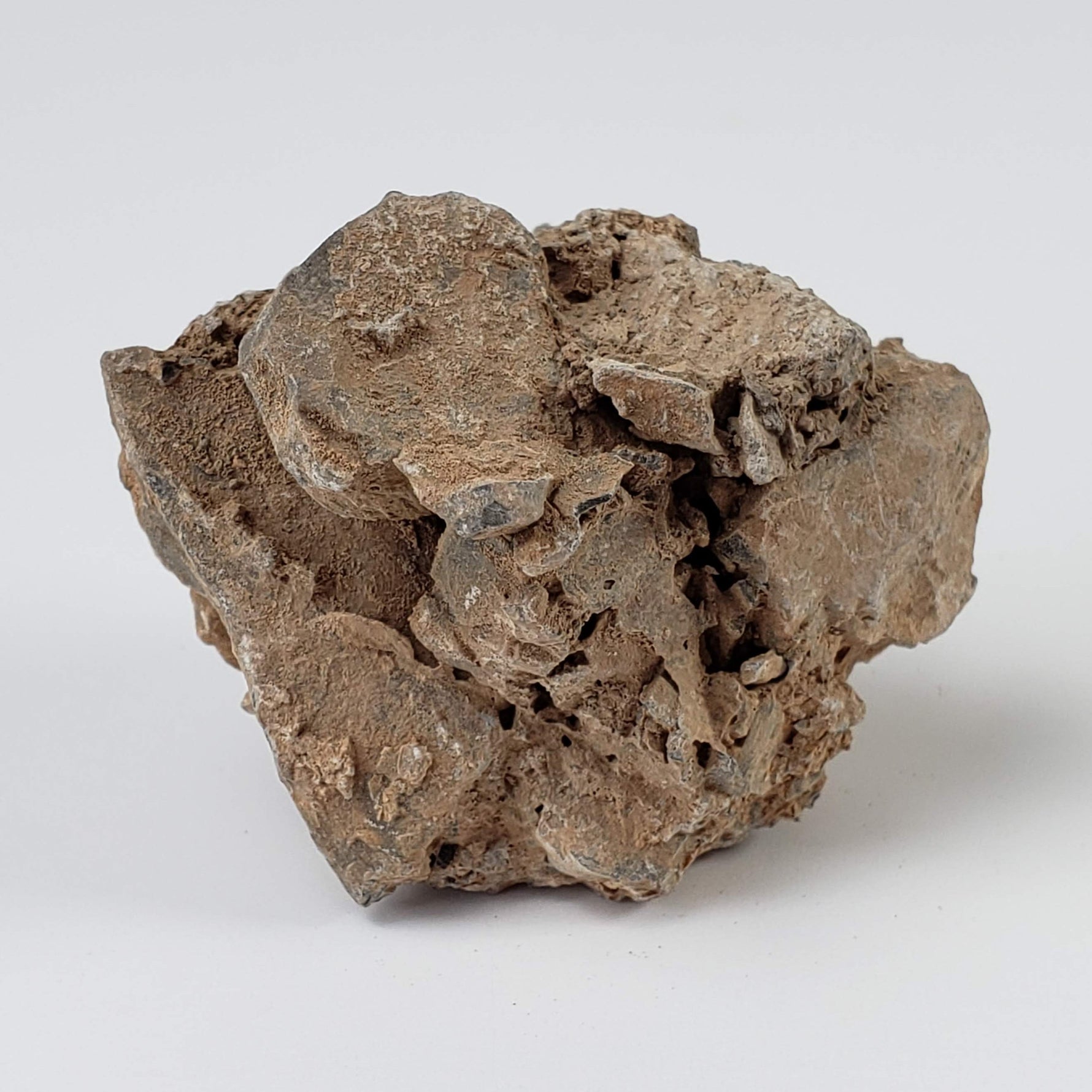  Impactite Monomict Breccia | 24.4 grams | Agoudal, Imilchil Structure | Morocco 5
