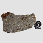  Impactite Suevite | 20.3 grams | Norrbo, Sweden 