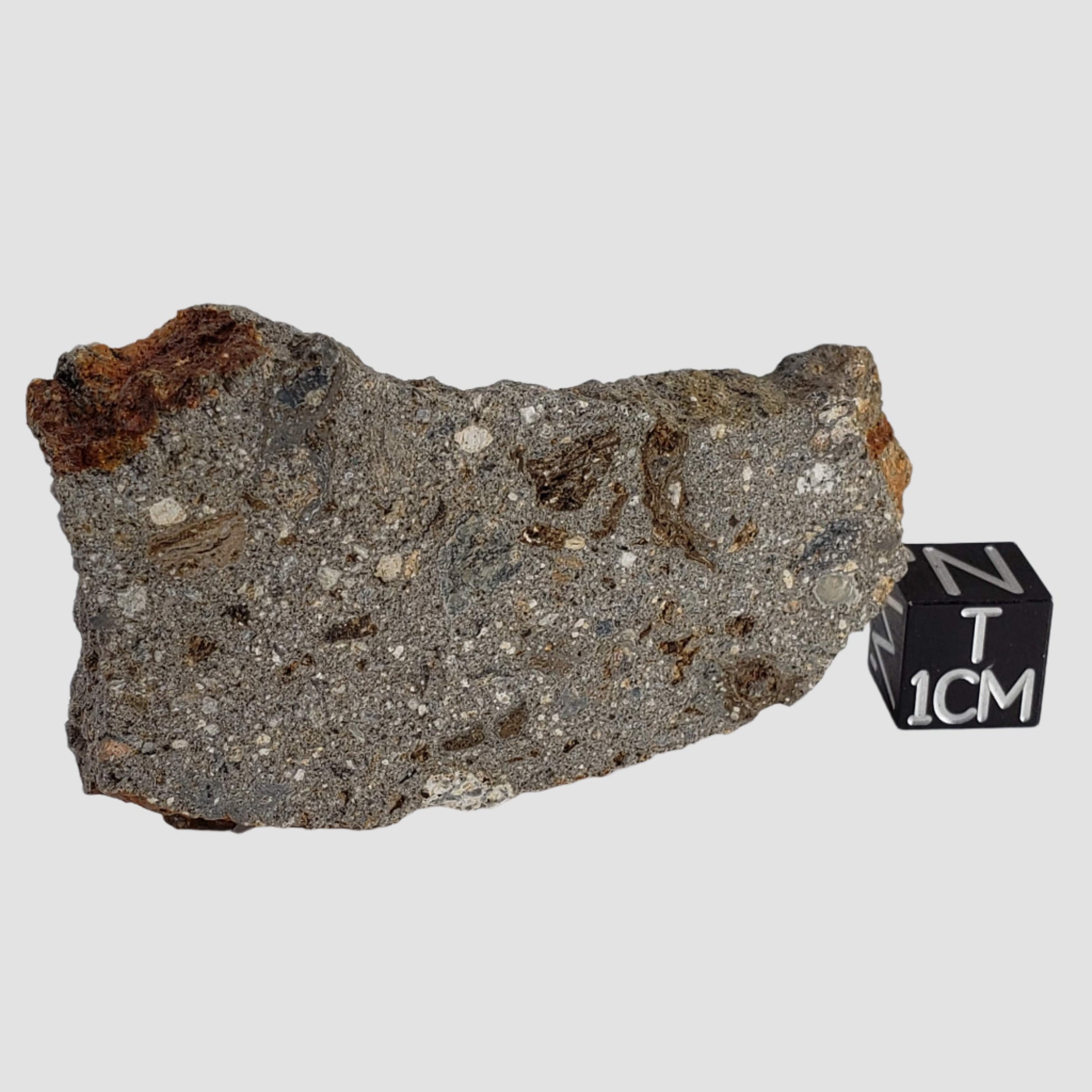  Impactite Suevite | 20.3 grams | Norrbo, Sweden 