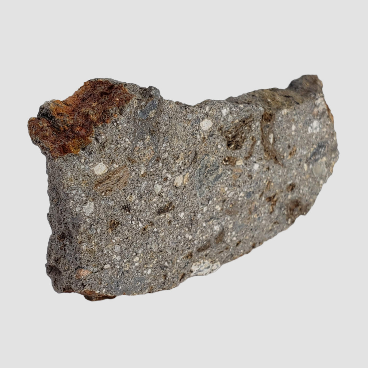  Impactite Suevite | 20.3 grams | Norrbo, Sweden 4