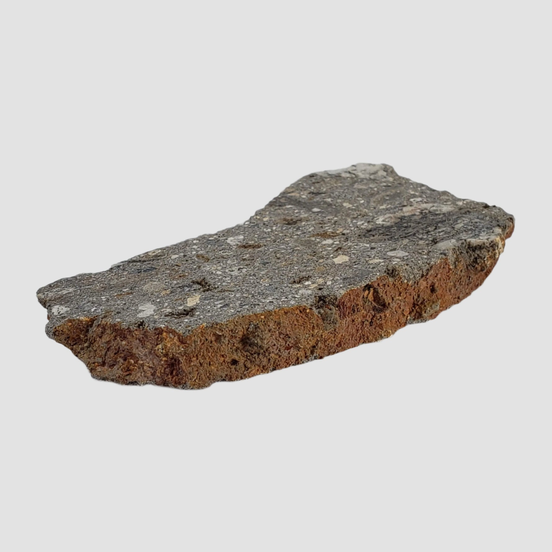  Impactite Suevite | 20.3 grams | Norrbo, Sweden 6