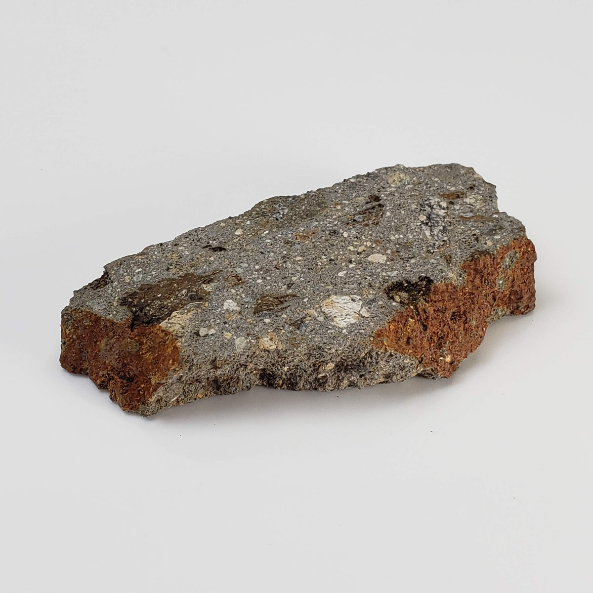  Impactite Suevite | 22.7 grams | Norrbo, Sweden 5