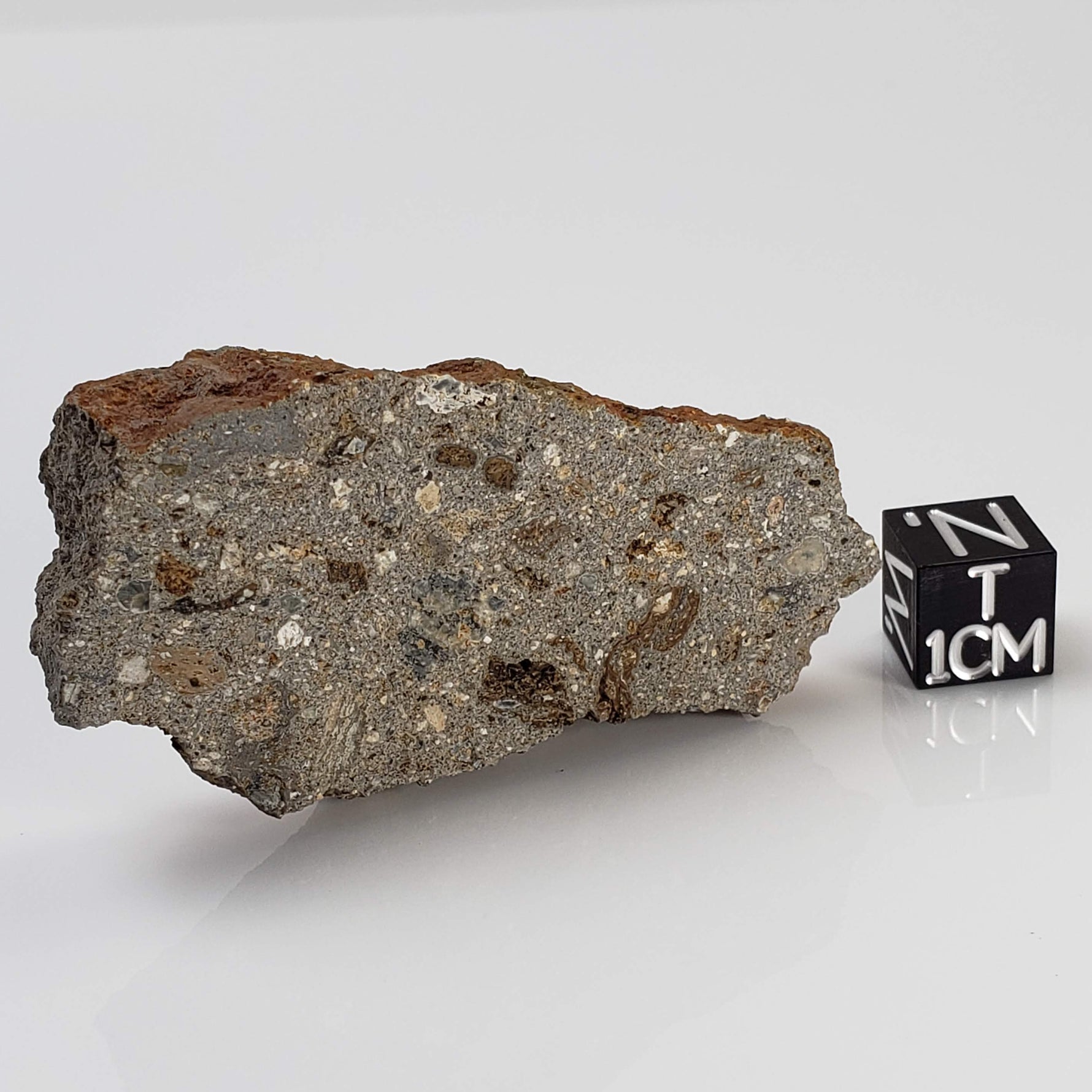  Impactite Suevite | 22.7 grams | Norrbo, Sweden 