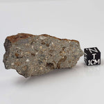  Impactite Suevite | 22.7 grams | Norrbo, Sweden 