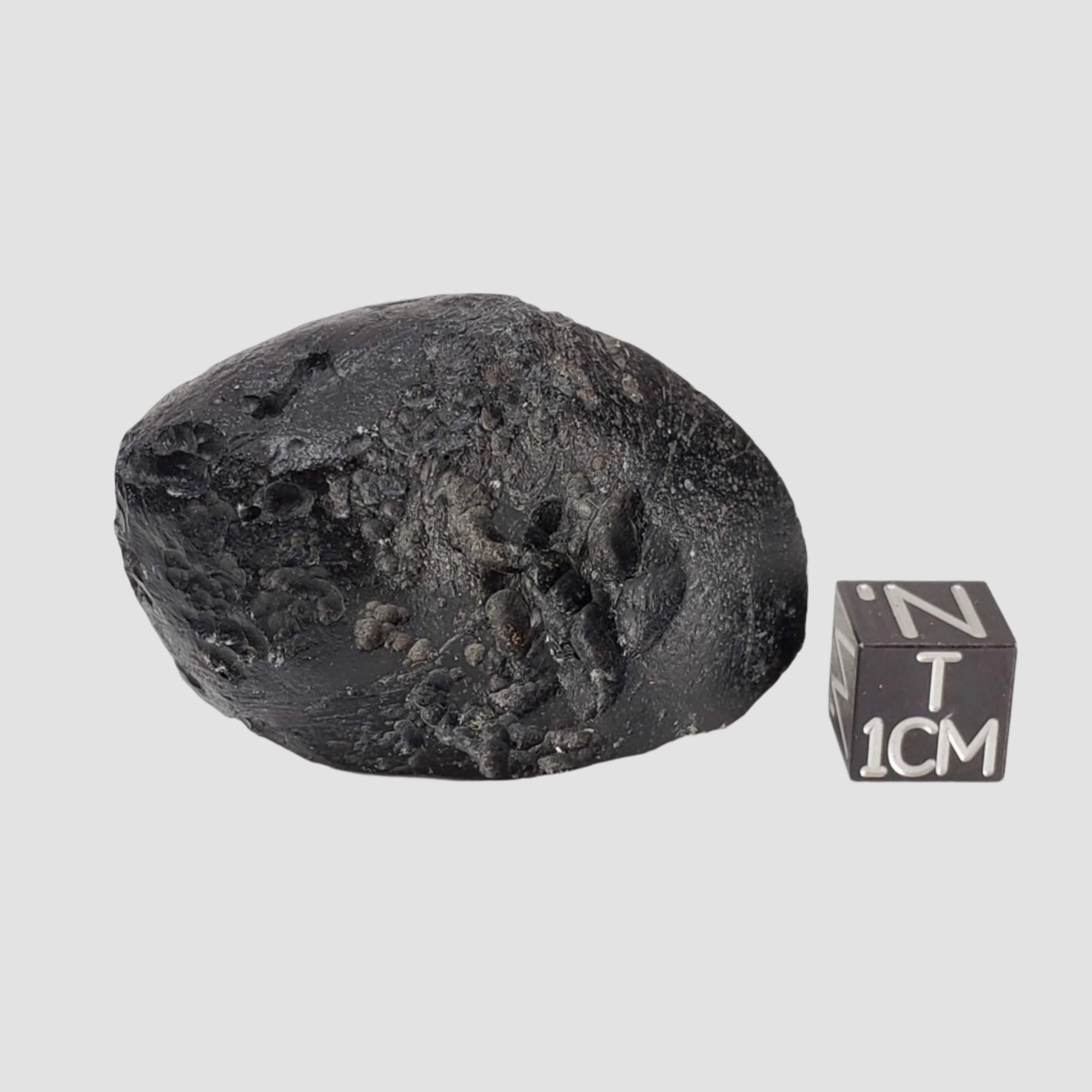  Indochinite Tektite | 38.8 Grams | Impactite 