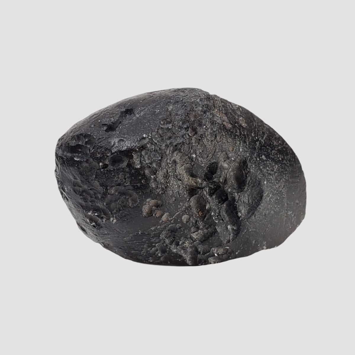  Indochinite Tektite | 38.8 Grams | Impactite 2