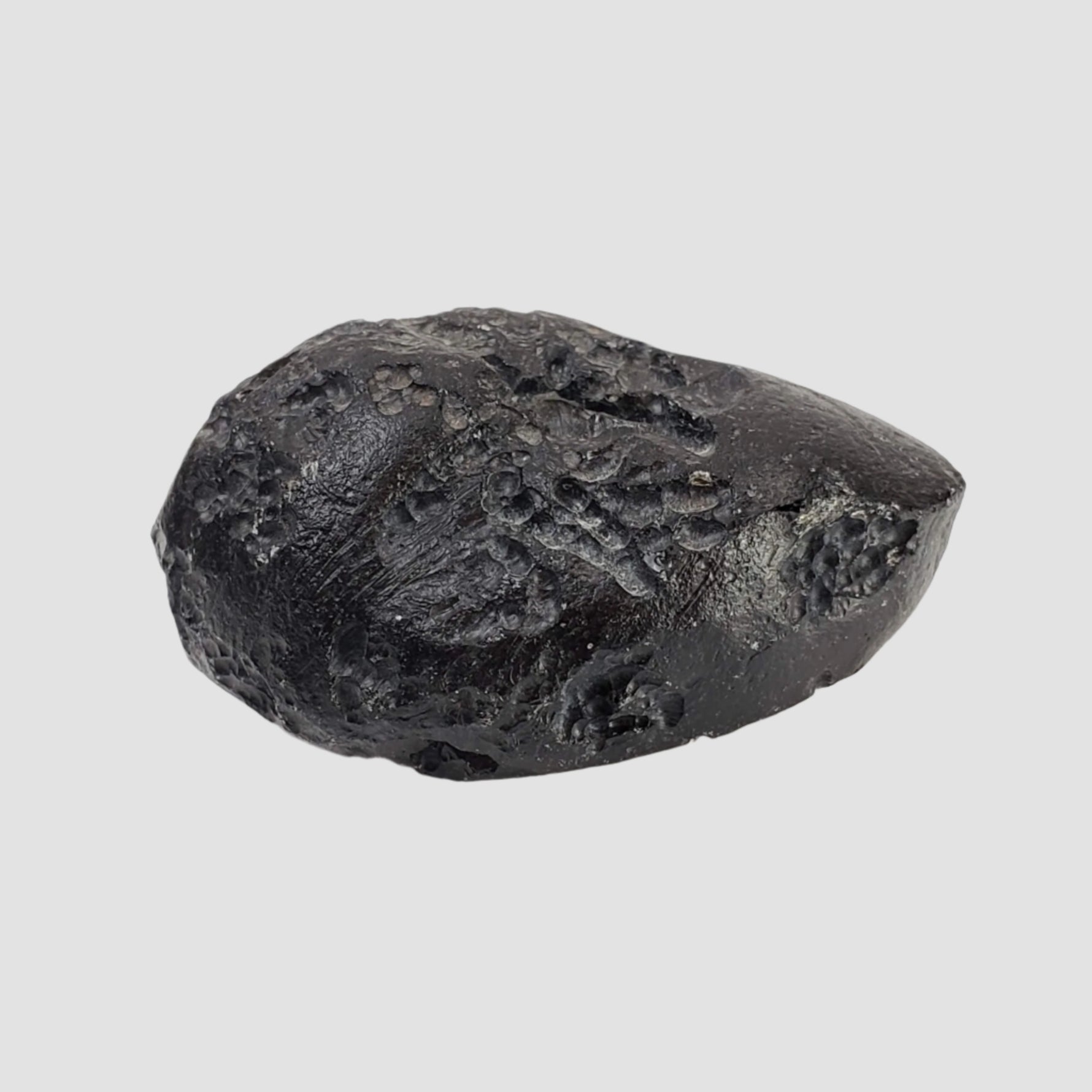  Indochinite Tektite | 38.8 Grams | Impactite 6