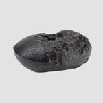  Indochinite Tektite | 38.8 Grams | Impactite 7
