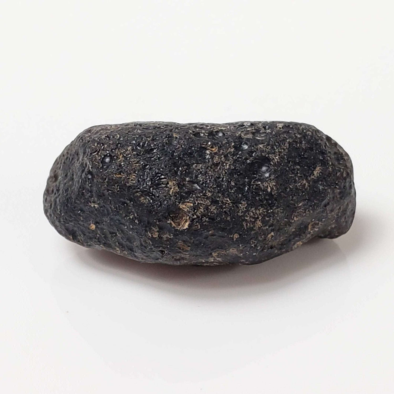  Indochinite Tektite | 4.2 Grams | Impactite | Laos 1