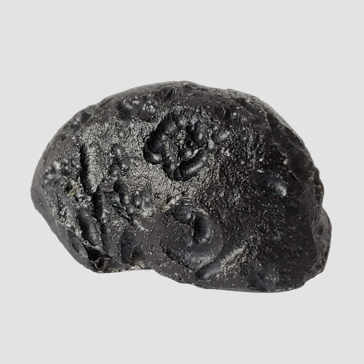  Indochinite Tektite | 40.1 Grams | Impactite 1