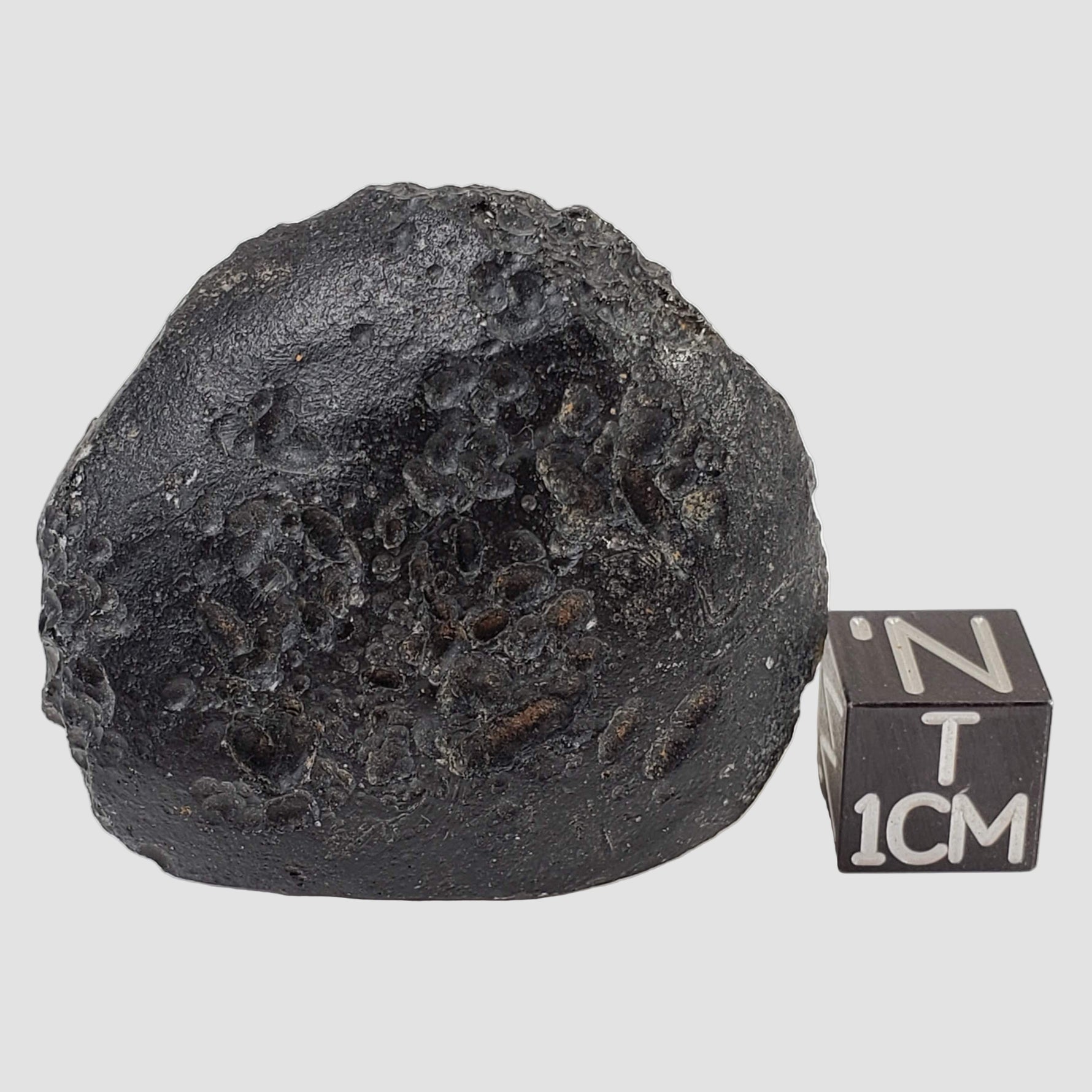  Indochinite Tektite | 40.2 Grams | Impactite 