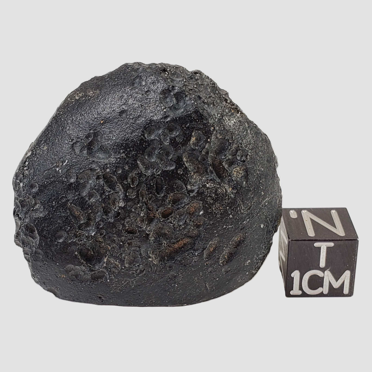  Indochinite Tektite | 40.2 Grams | Impactite 