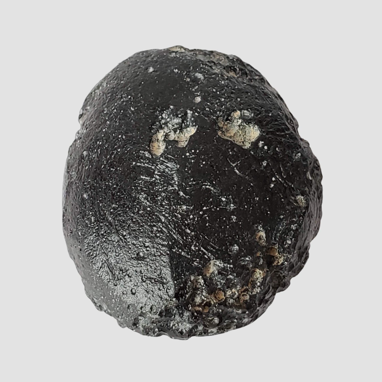  Indochinite Tektite | 47.9 Grams | Impactite 1