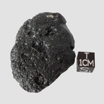  Indochinite Tektite | 51.8 Grams | Impactite 