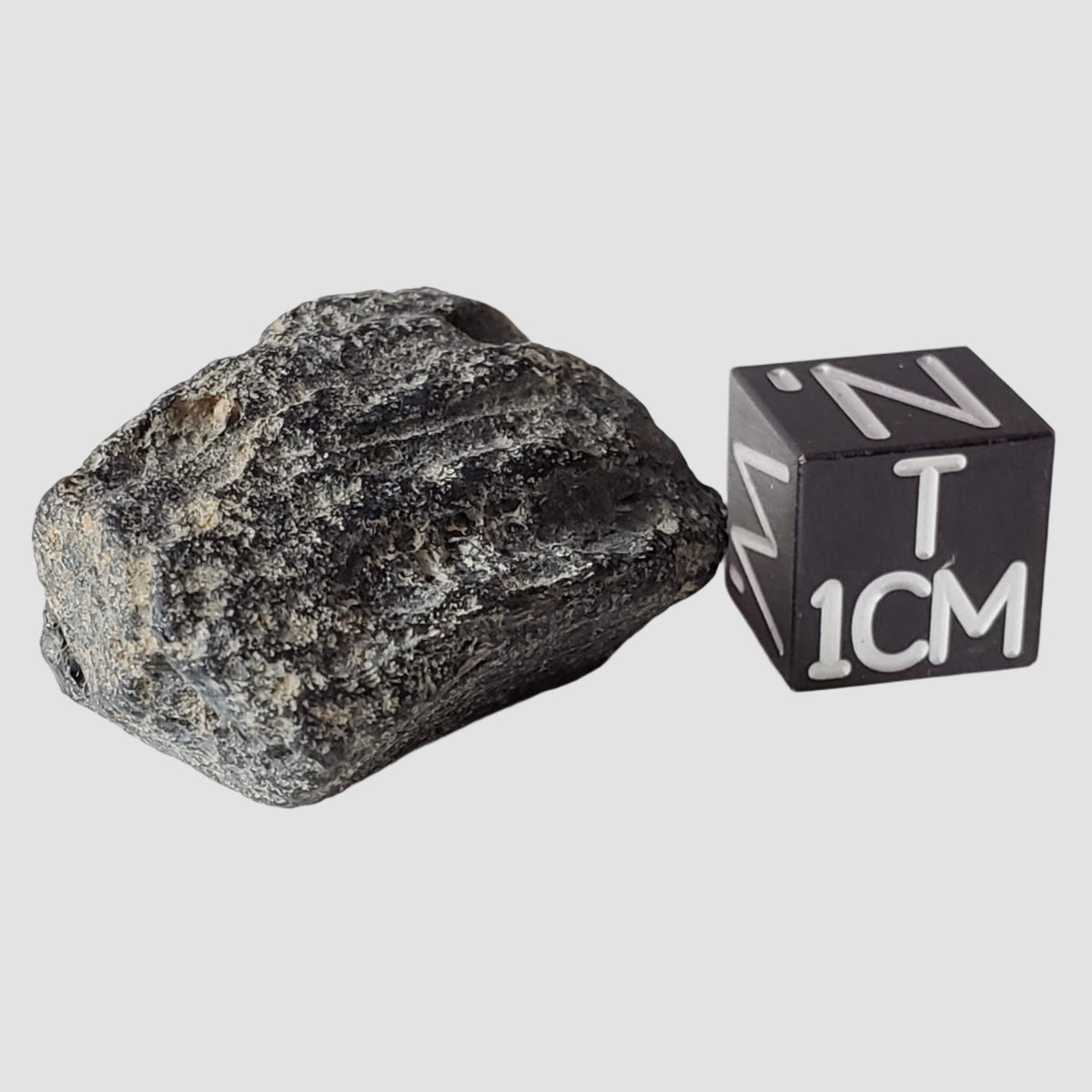  Indochinite Tektite | 8.33 Grams | Impactite 