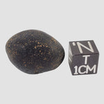  Indochinite Tektite | 8 Grams | Impactite 
