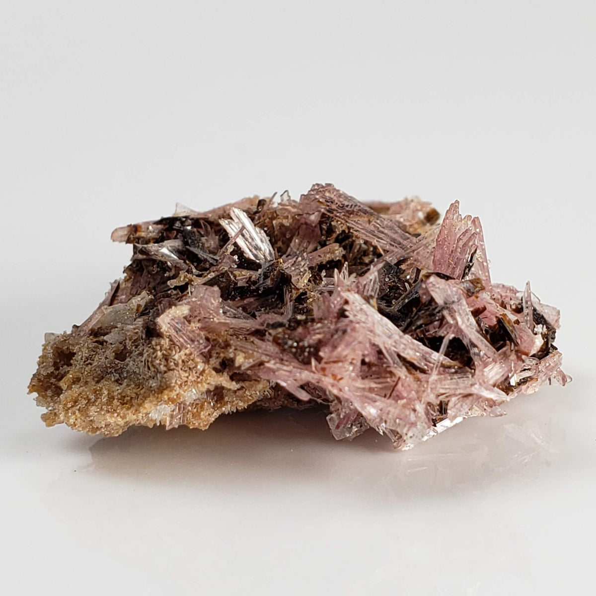  Inesite on Hubeite | Rare Mineral | Unique Crystal | Ezhou, Hubei Province, China 2