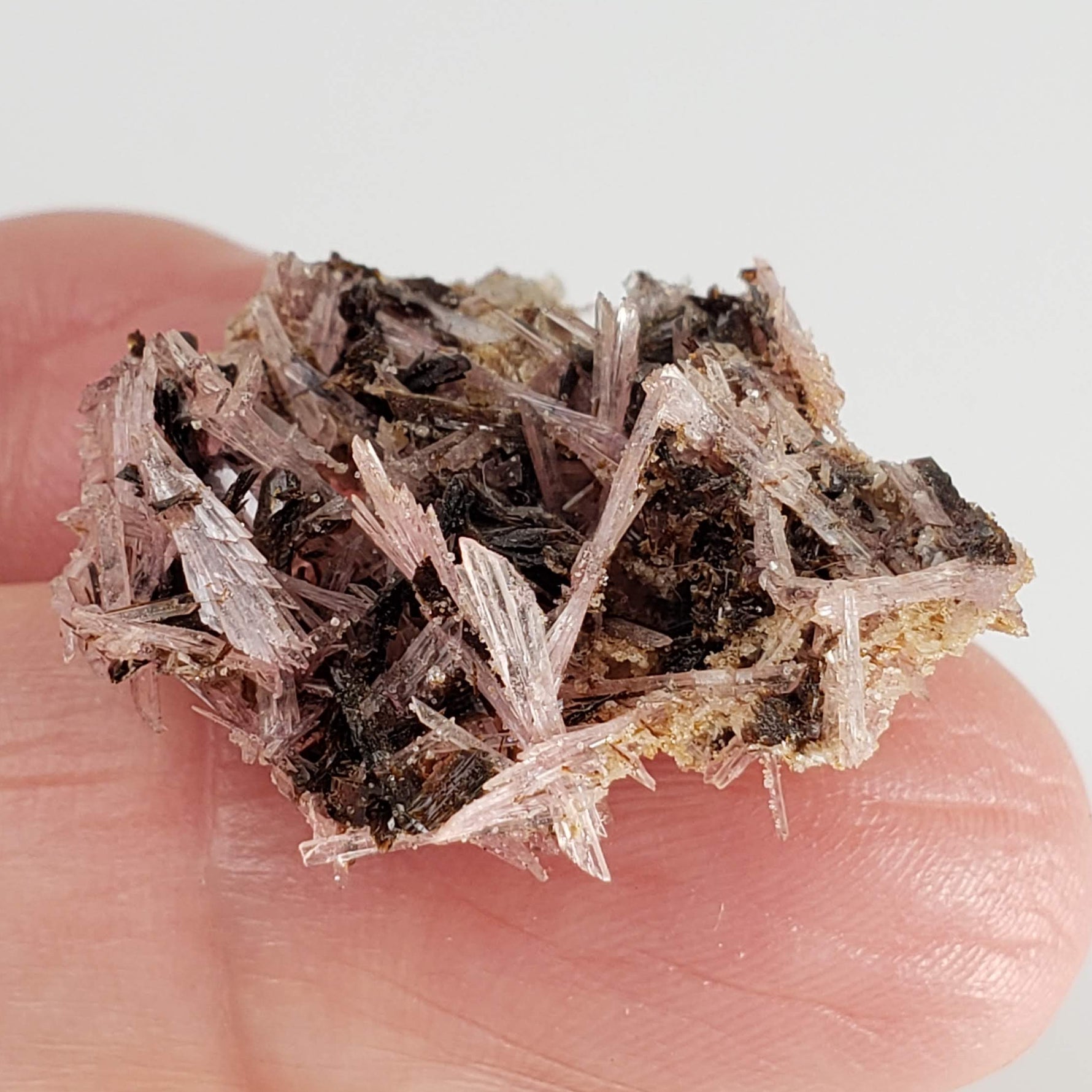  Inesite on Hubeite | Rare Mineral | Unique Crystal | Ezhou, Hubei Province, China 3