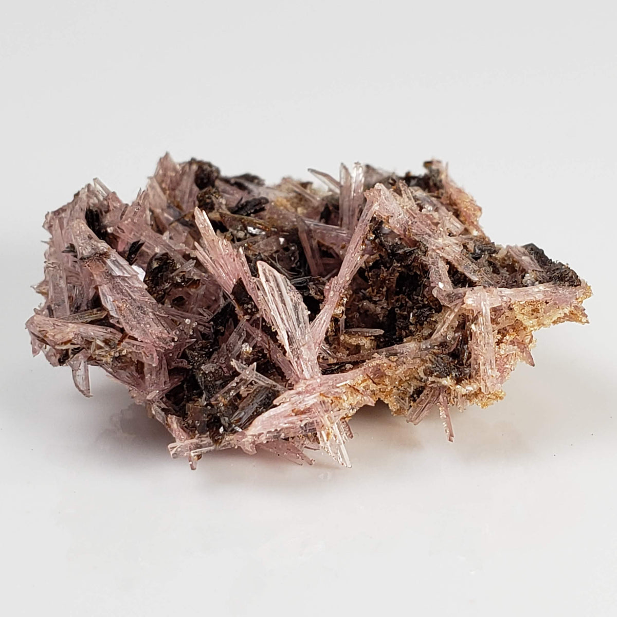  Inesite on Hubeite | Rare Mineral | Unique Crystal | Ezhou, Hubei Province, China 