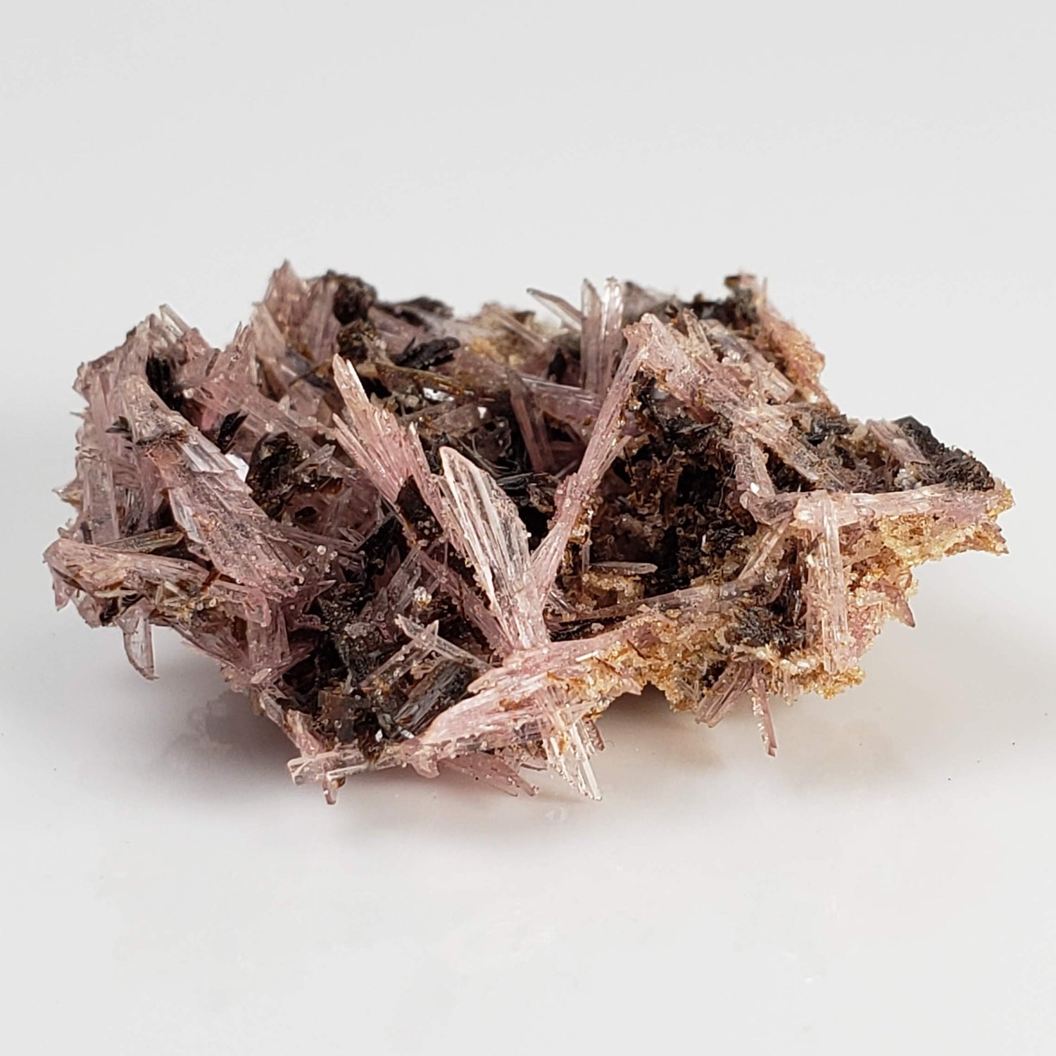  Inesite on Hubeite | Rare Mineral | Unique Crystal | Ezhou, Hubei Province, China 