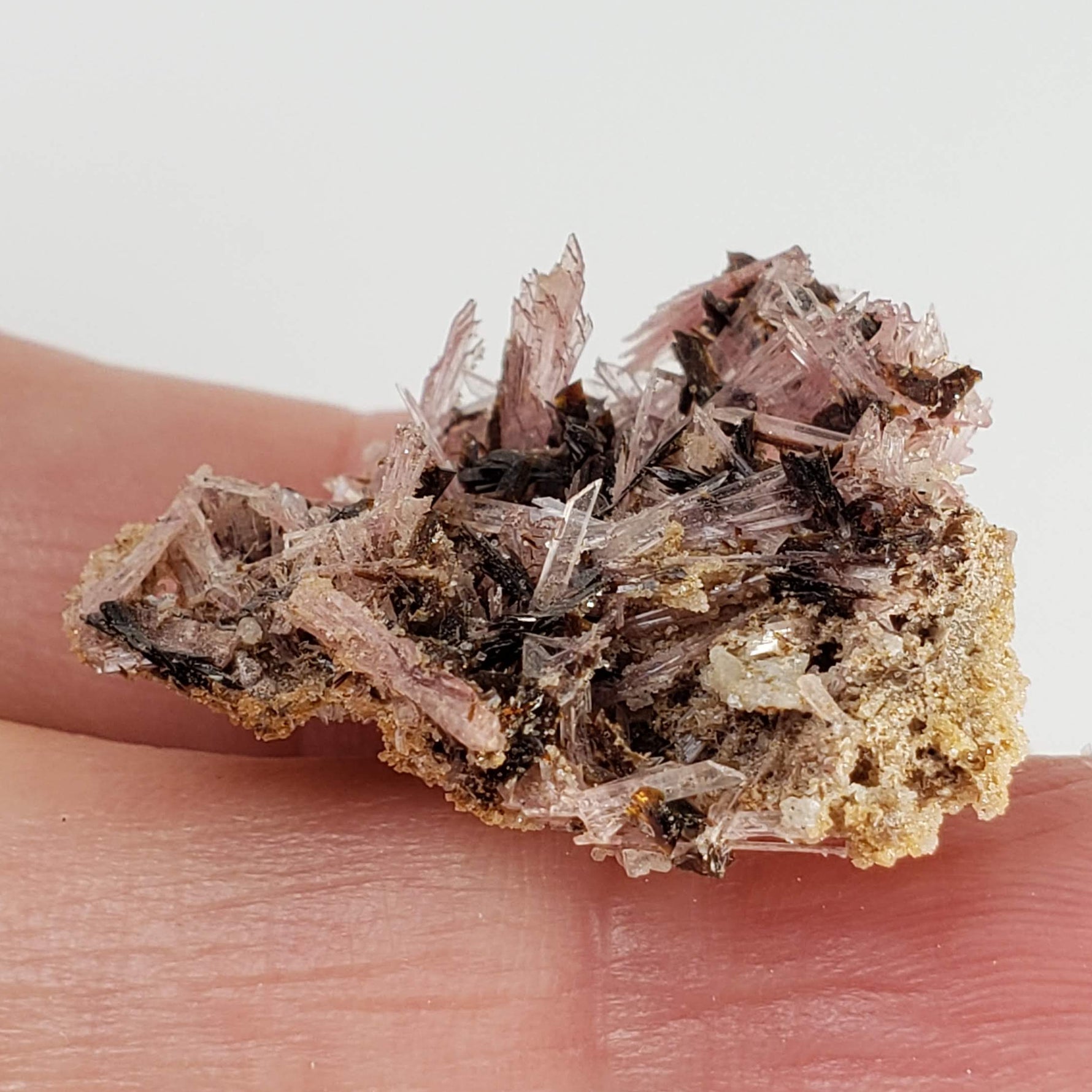  Inesite on Hubeite | Rare Mineral | Unique Crystal | Ezhou, Hubei Province, China 1