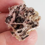  Inesite on Hubeite | Rare Mineral | Unique Crystal | Ezhou, Hubei Province, China 4