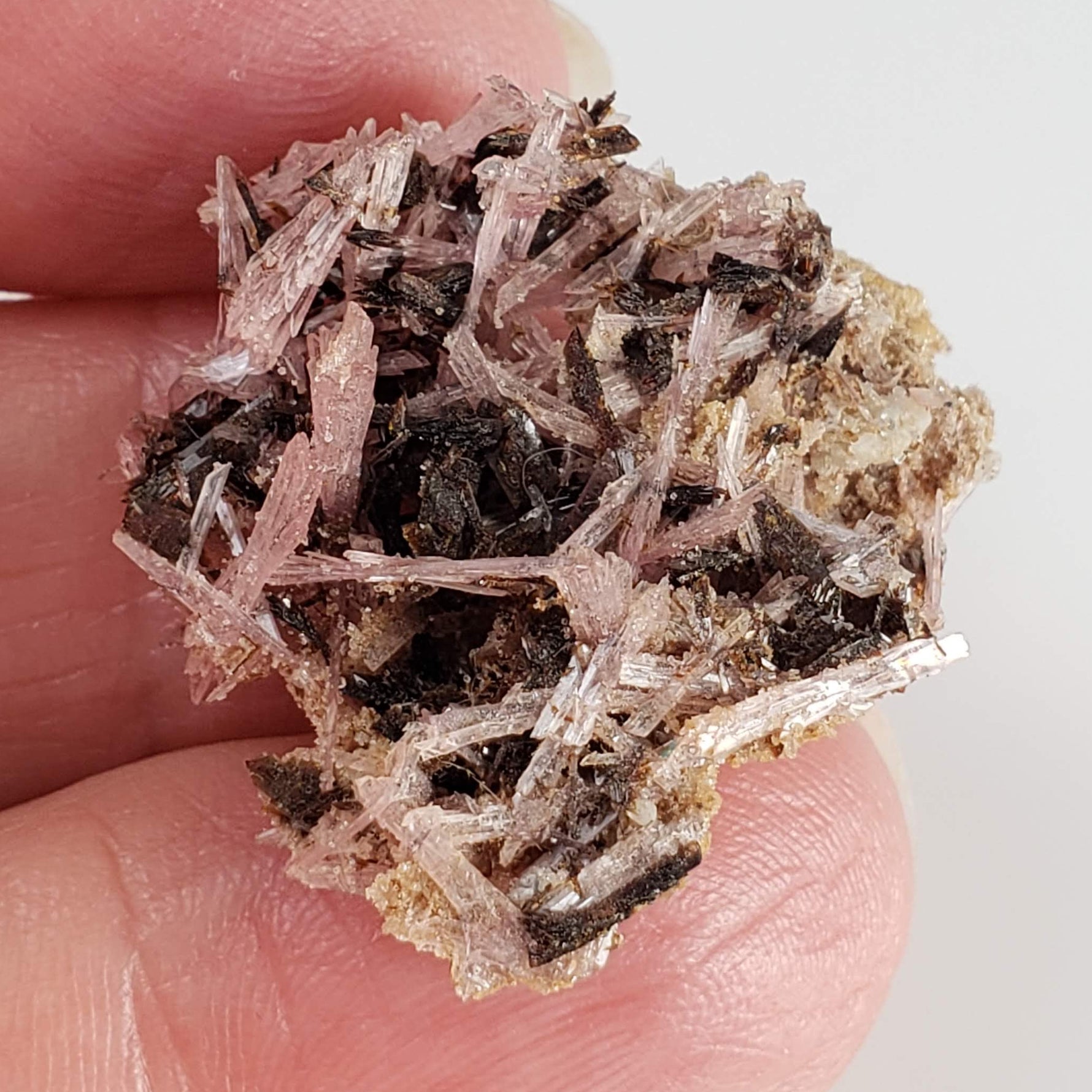  Inesite on Hubeite | Rare Mineral | Unique Crystal | Ezhou, Hubei Province, China 4