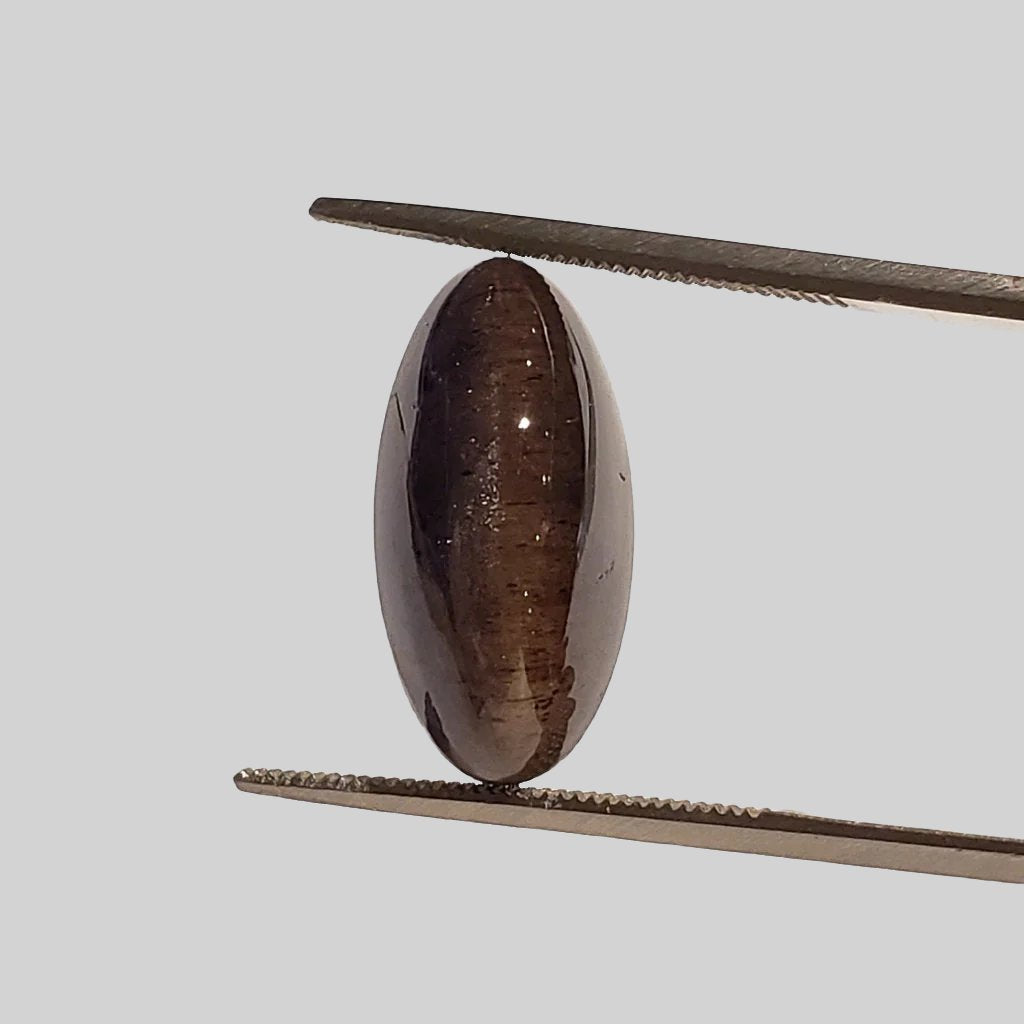  Iolite Cats Eye | Oval Cabochon | Black Blue | 18.2x9mm 11.9ct 1