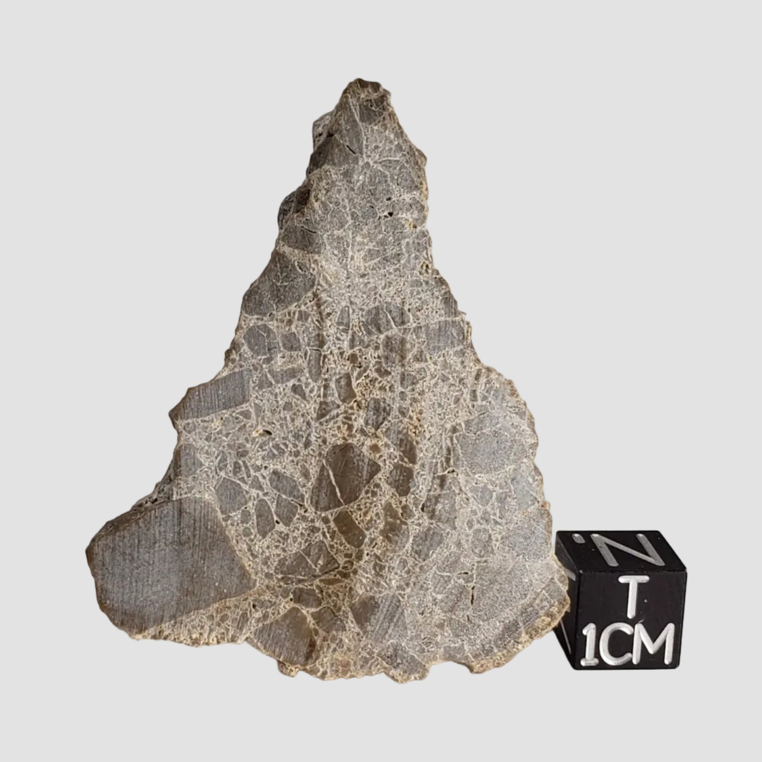 Kamensk Crater Suevite Impactite | 21.69 Grams | End Cut | Rostov Oblast, Kamensk, Russia