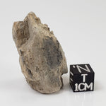  Kofelsite Impact Myth | Grey Melt Rock | 22.3 grams | Köfels Structure | Austria 