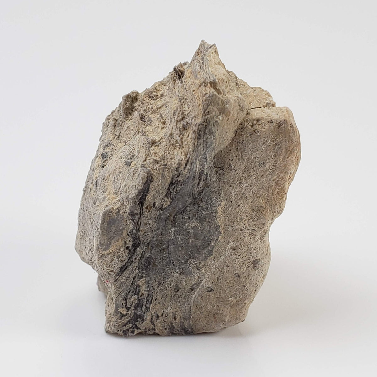  Kofelsite Impact Myth | Grey Melt Rock | 22.3 grams | Köfels Structure | Austria 1