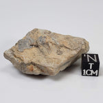  Kofelsite Impact Myth | Grey Melt Rock | 31 grams | Köfels Structure | Austria 
