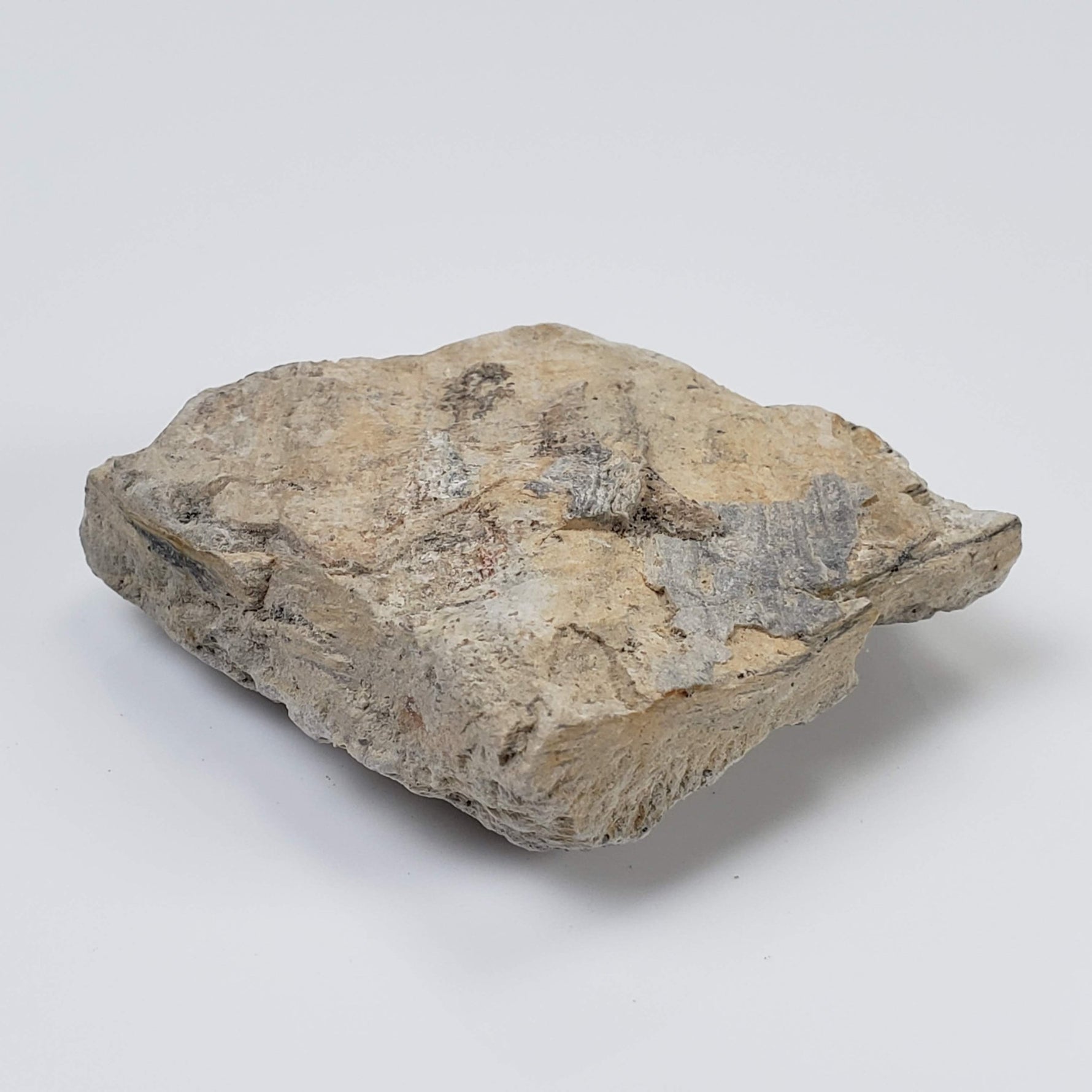  Kofelsite Impact Myth | Grey Melt Rock | 31 grams | Köfels Structure | Austria 1