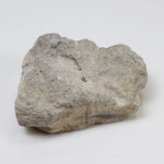  Kofelsite Impact Myth | Grey Melt Rock | 31 grams | Köfels Structure | Austria 4