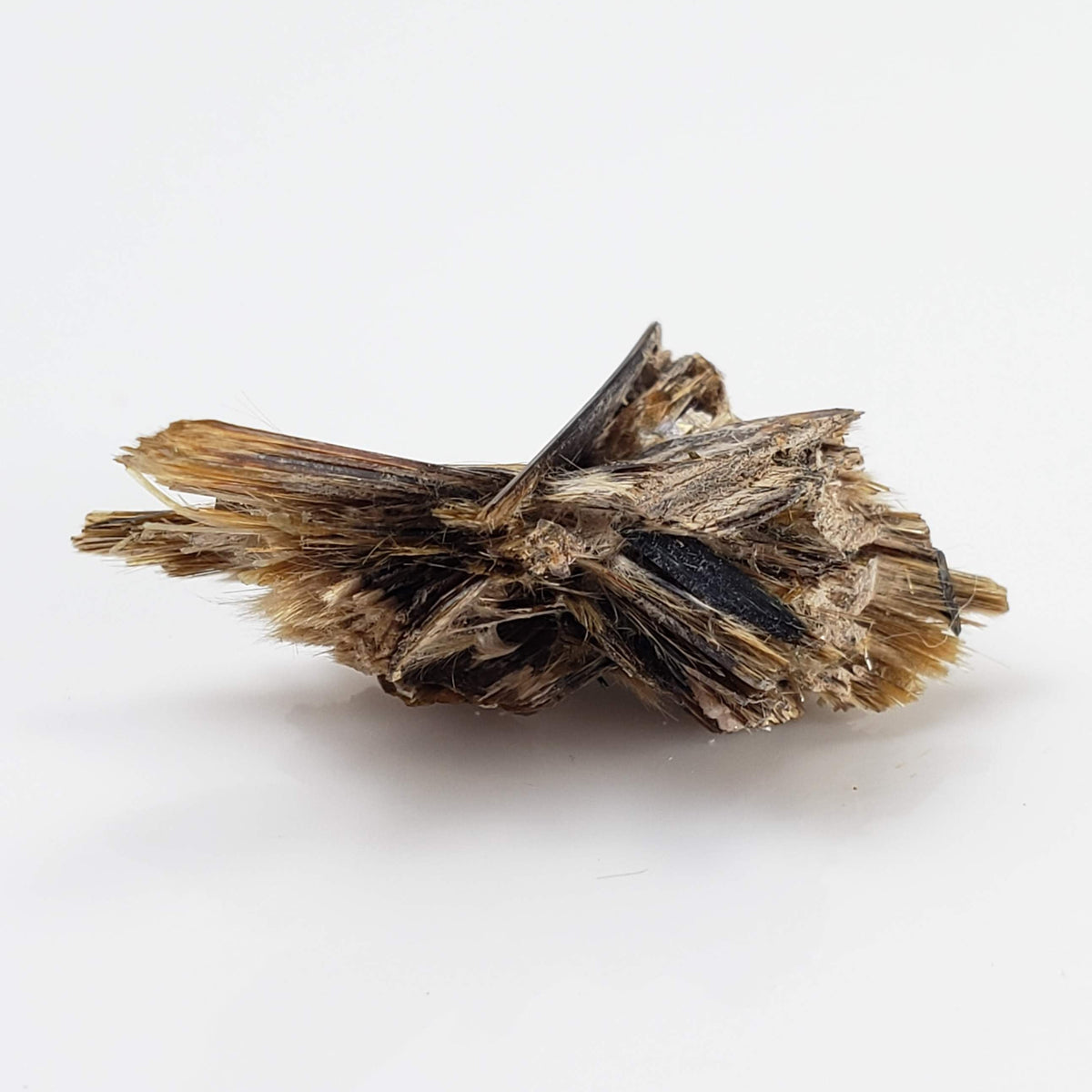  Kupletskite Crystal | Fine 1.63 gram Mineral | Rare Specimen | Mont Saint Hilaire, Quebec, Canada 7