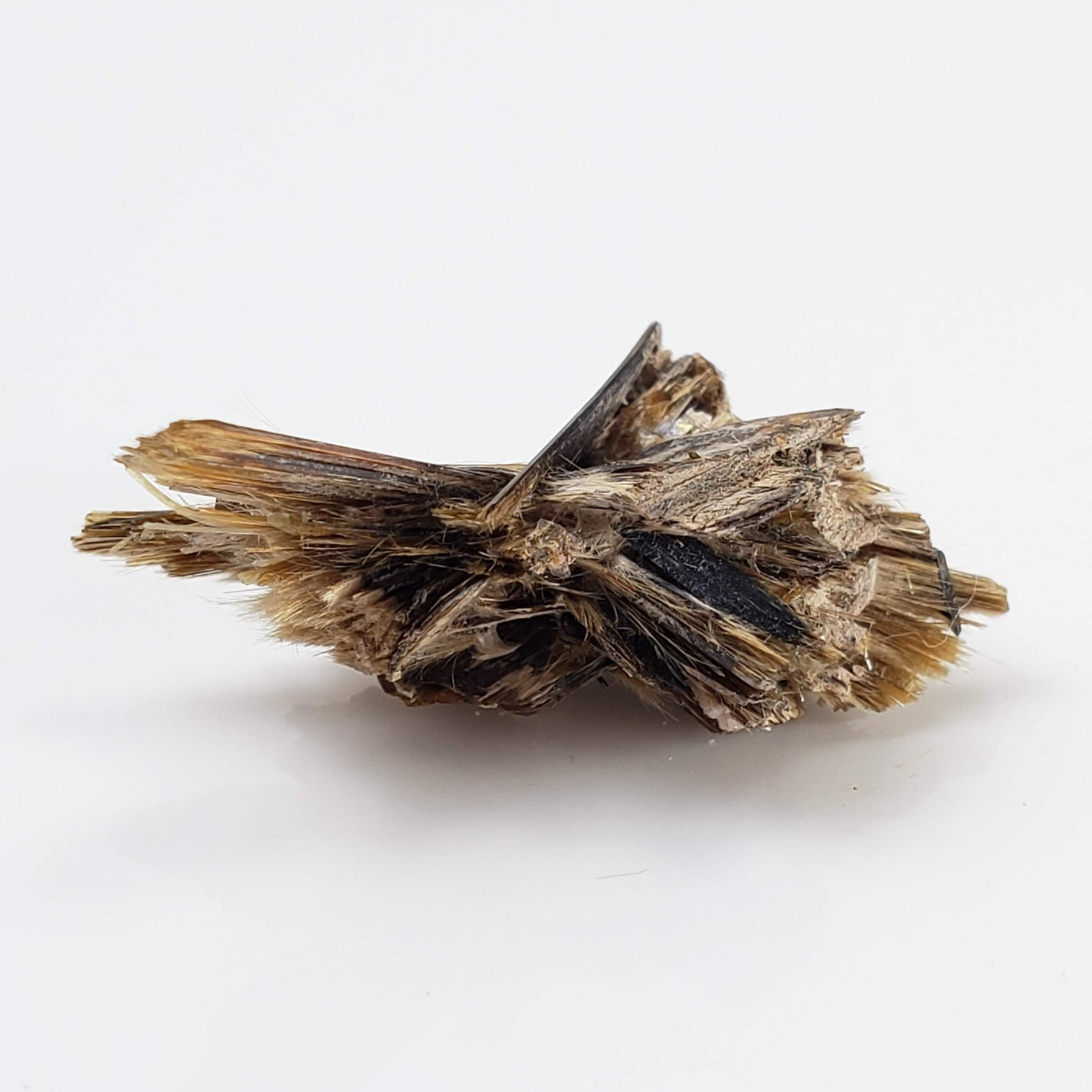  Kupletskite Crystal | Fine 1.63 gram Mineral | Rare Specimen | Mont Saint Hilaire, Quebec, Canada 7