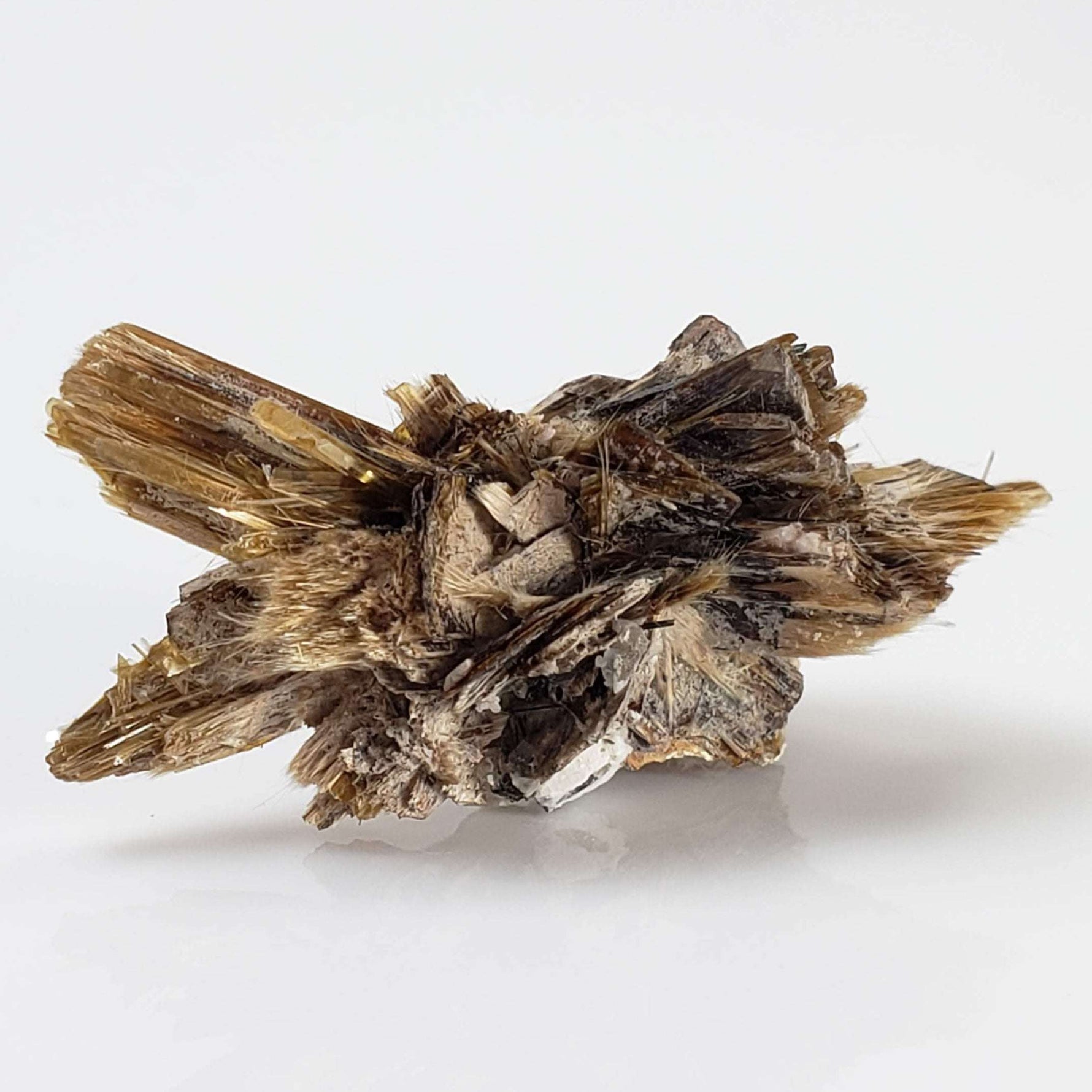  Kupletskite Crystal | Fine 1.63 gram Mineral | Rare Specimen | Mont Saint Hilaire, Quebec, Canada 