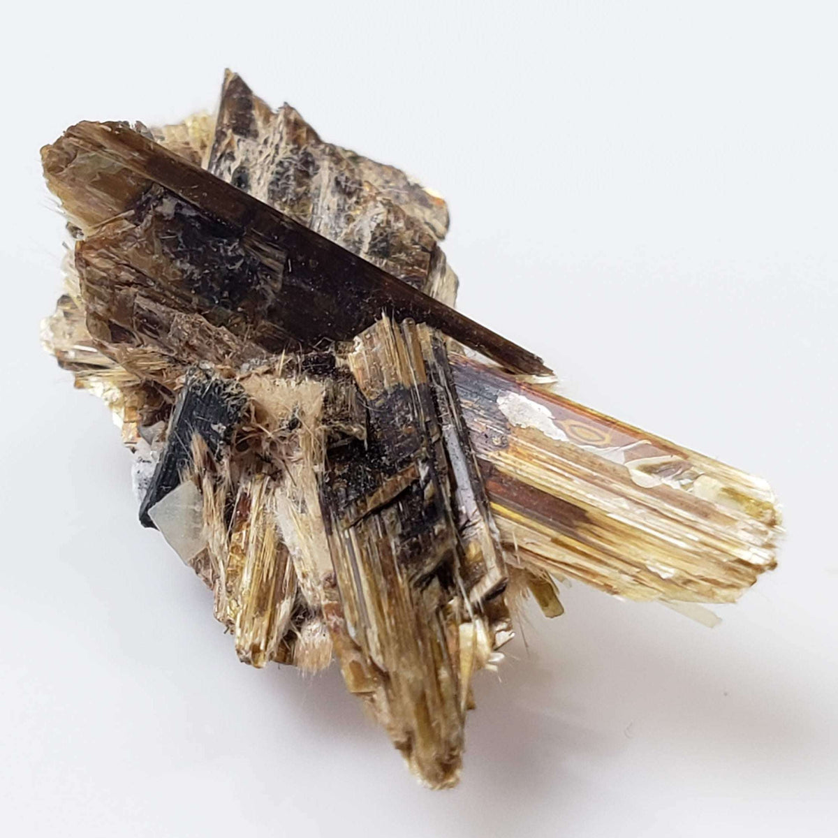  Kupletskite Crystal | Fine 1.63 gram Mineral | Rare Specimen | Mont Saint Hilaire, Quebec, Canada 1