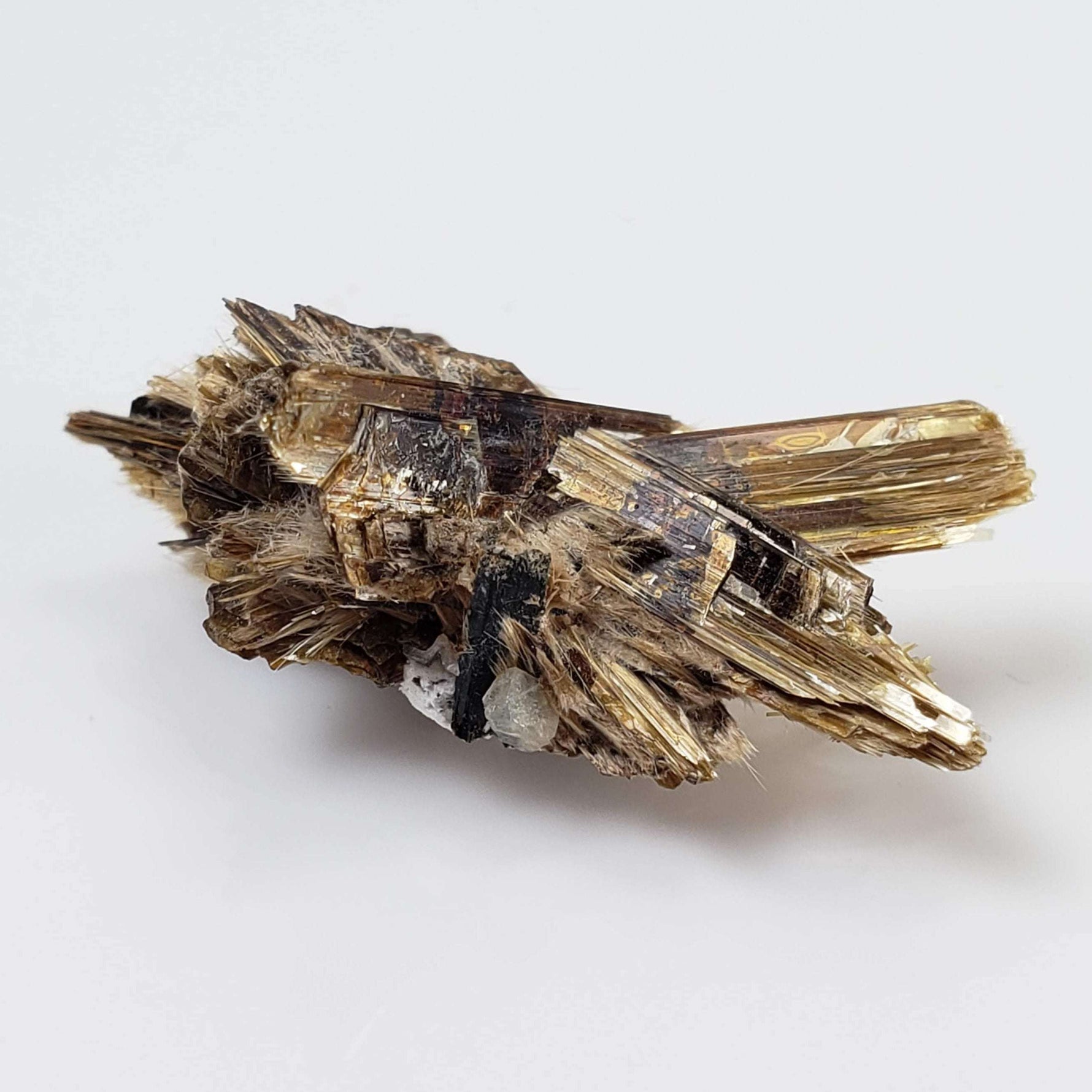  Kupletskite Crystal | Fine 1.63 gram Mineral | Rare Specimen | Mont Saint Hilaire, Quebec, Canada 2