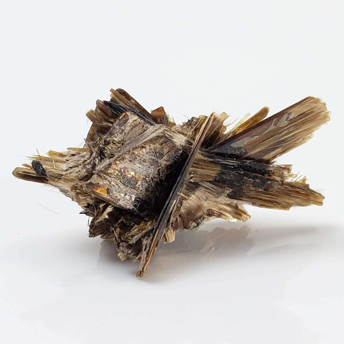  Kupletskite Crystal | Fine 1.63 gram Mineral | Rare Specimen | Mont Saint Hilaire, Quebec, Canada 3