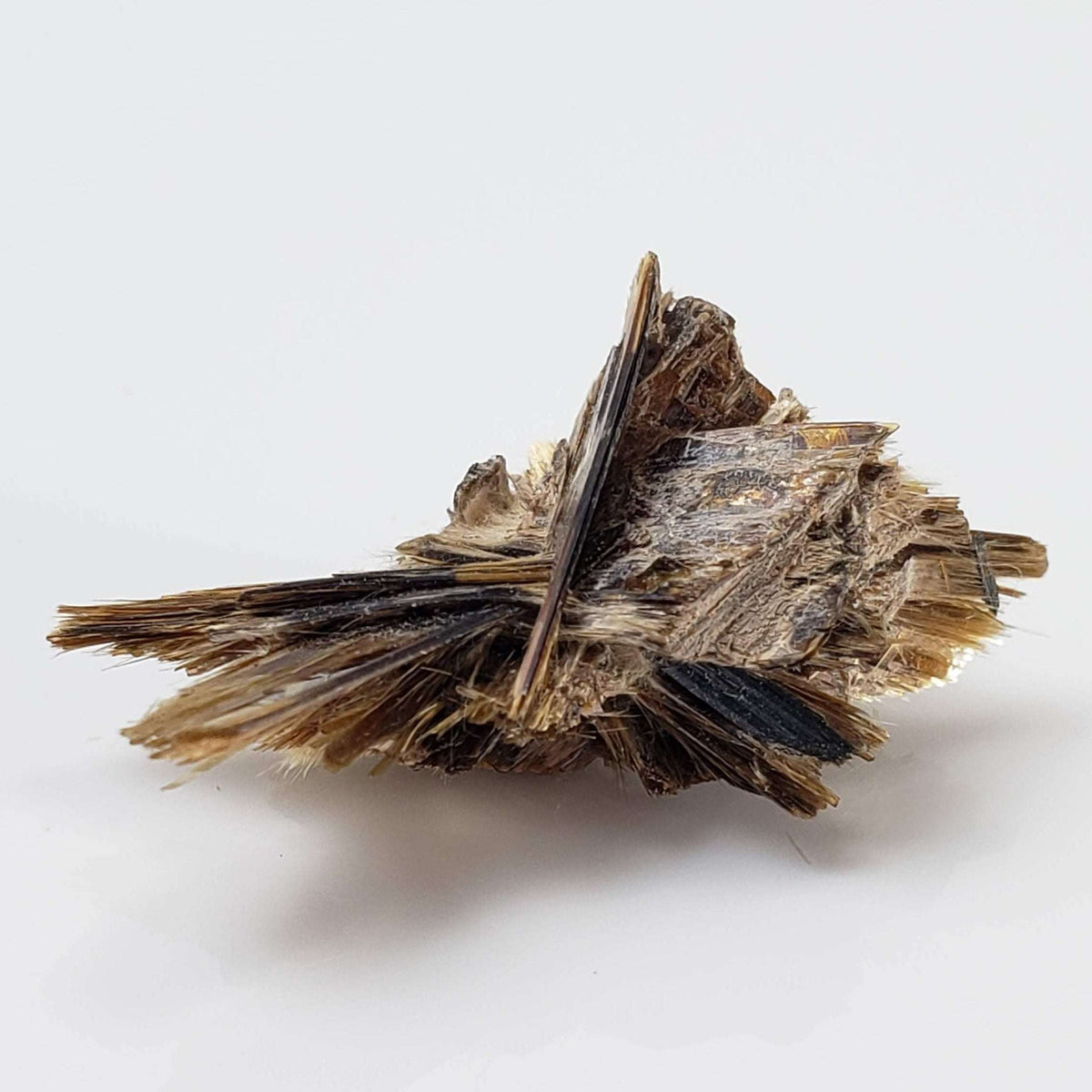  Kupletskite Crystal | Fine 1.63 gram Mineral | Rare Specimen | Mont Saint Hilaire, Quebec, Canada 4