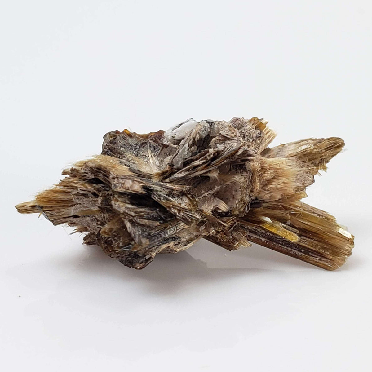  Kupletskite Crystal | Fine 1.63 gram Mineral | Rare Specimen | Mont Saint Hilaire, Quebec, Canada 5