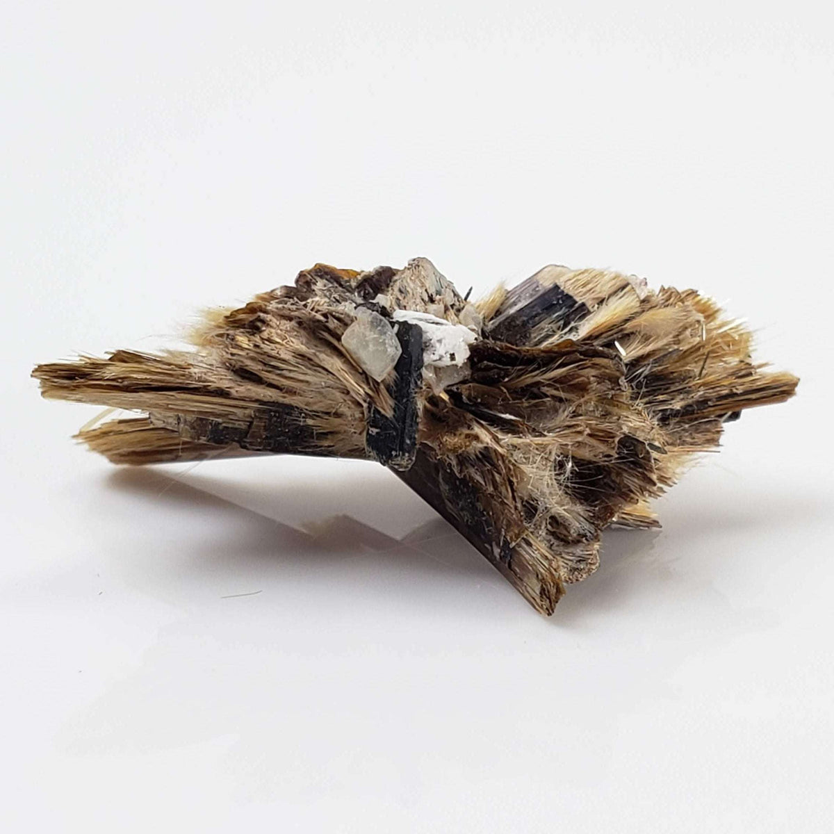  Kupletskite Crystal | Fine 1.63 gram Mineral | Rare Specimen | Mont Saint Hilaire, Quebec, Canada 6