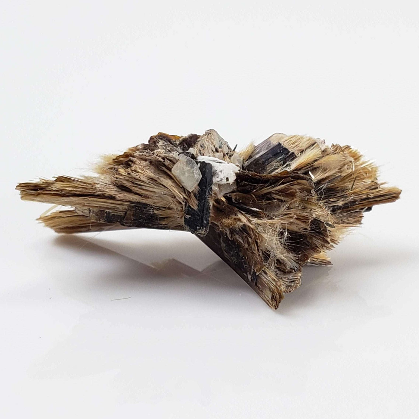  Kupletskite Crystal | Fine 1.63 gram Mineral | Rare Specimen | Mont Saint Hilaire, Quebec, Canada 6