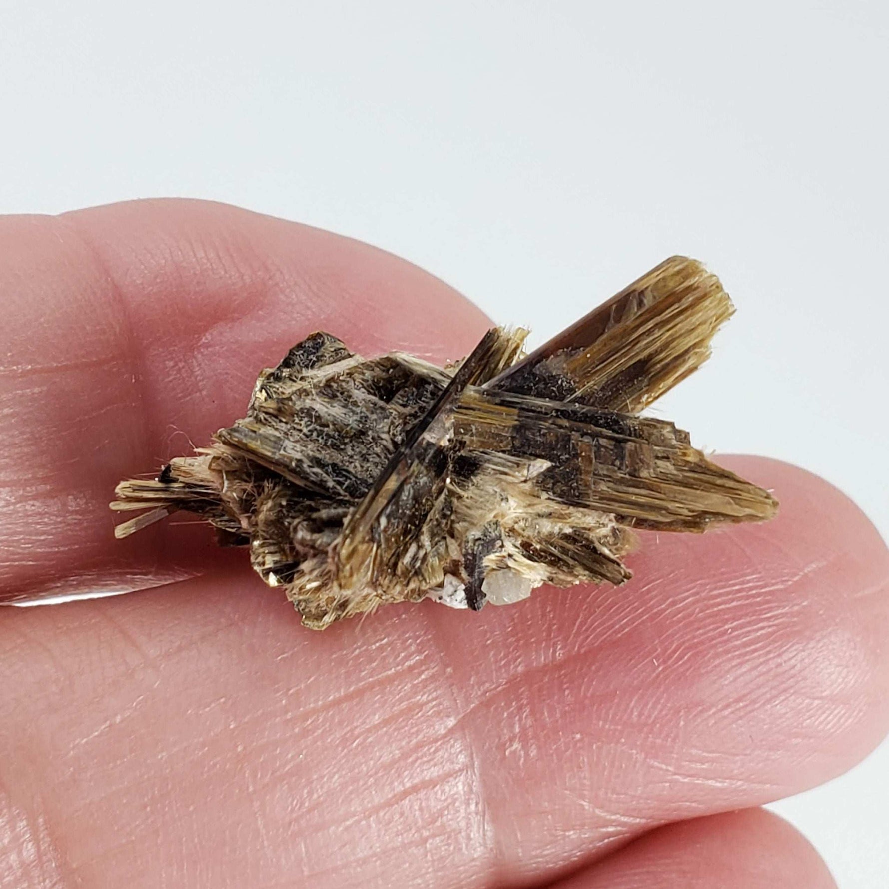  Kupletskite Crystal | Fine 1.63 gram Mineral | Rare Specimen | Mont Saint Hilaire, Quebec, Canada 8